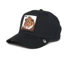 'Goorin Bros. Field 100 Lion Twill Cap' in 'Black' colour